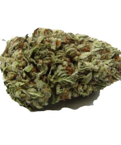 A picture of Blackberry kush