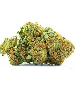 A picture of Platinum GSC