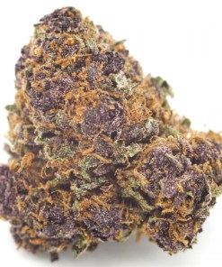 A picture of Purple Kush