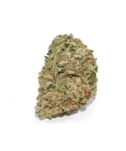 A picture of Acapulco Gold