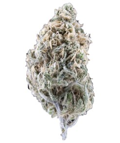 A picture of Blue Dream