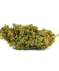 A picture of Pineapple Express