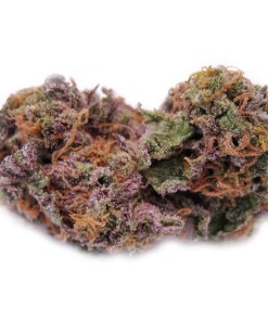 A picture of Purple Haze