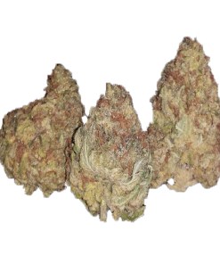 A picture of Strawberry Kush