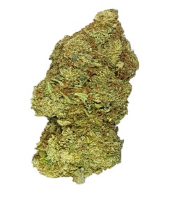 a pictures of sweet island skunk