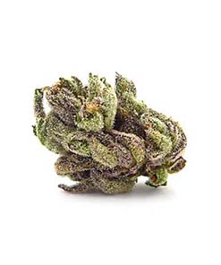 Buy Royal Gorilla strain